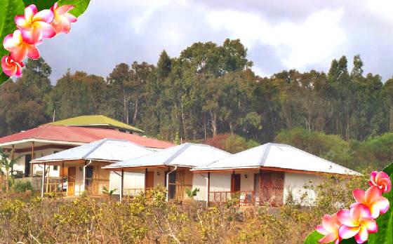 Voyage sur-mesure, Bungalows